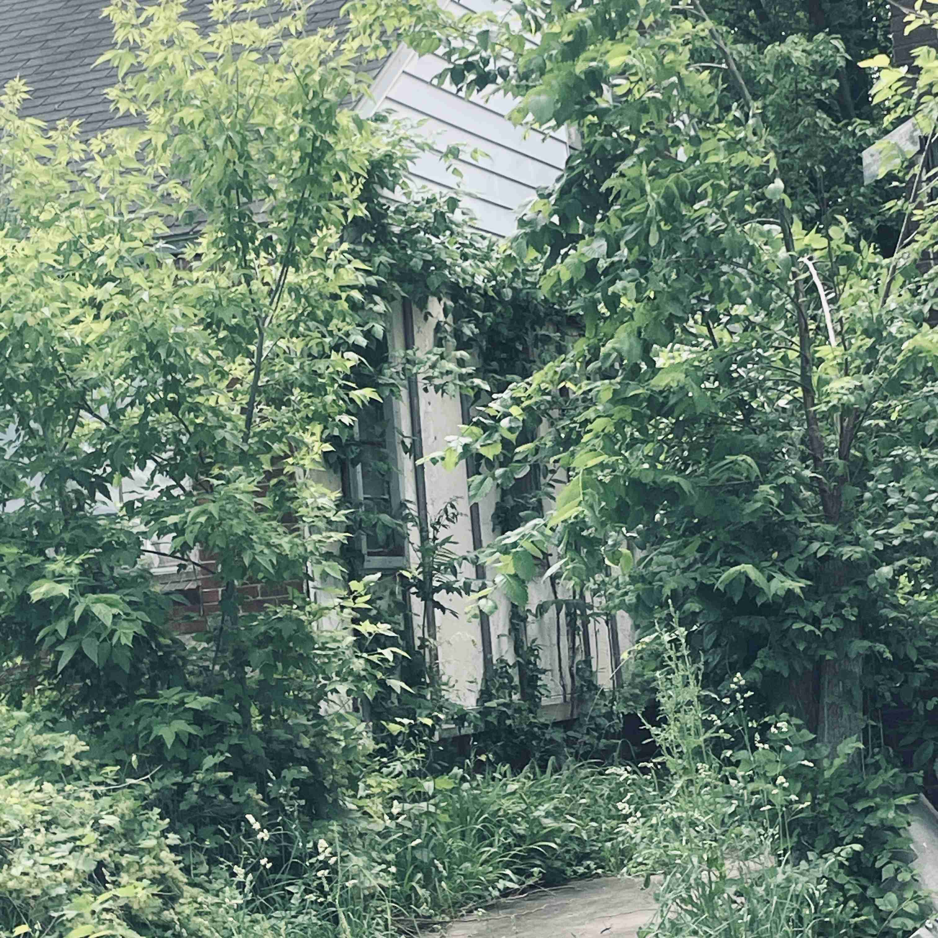 4277 TUXEDO (13).jpg